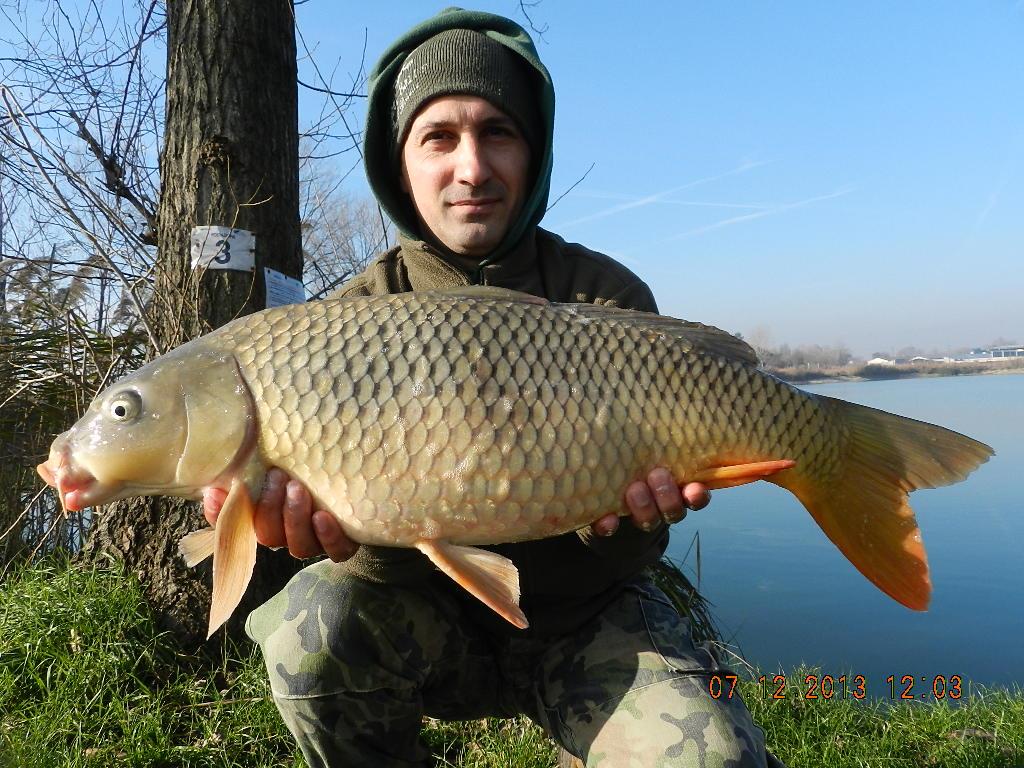 iarna cu carpfishing - dscn1842.JPG